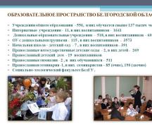 Начальник департамента образования игорь шаповалов стал самым богатым членом правительства белгородской области